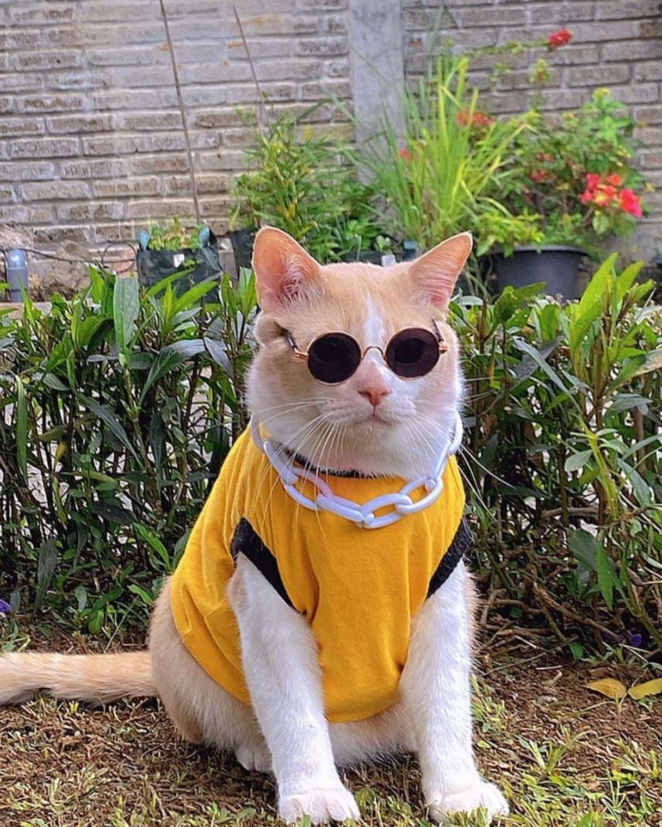 Instagram.com/lxx_pororo