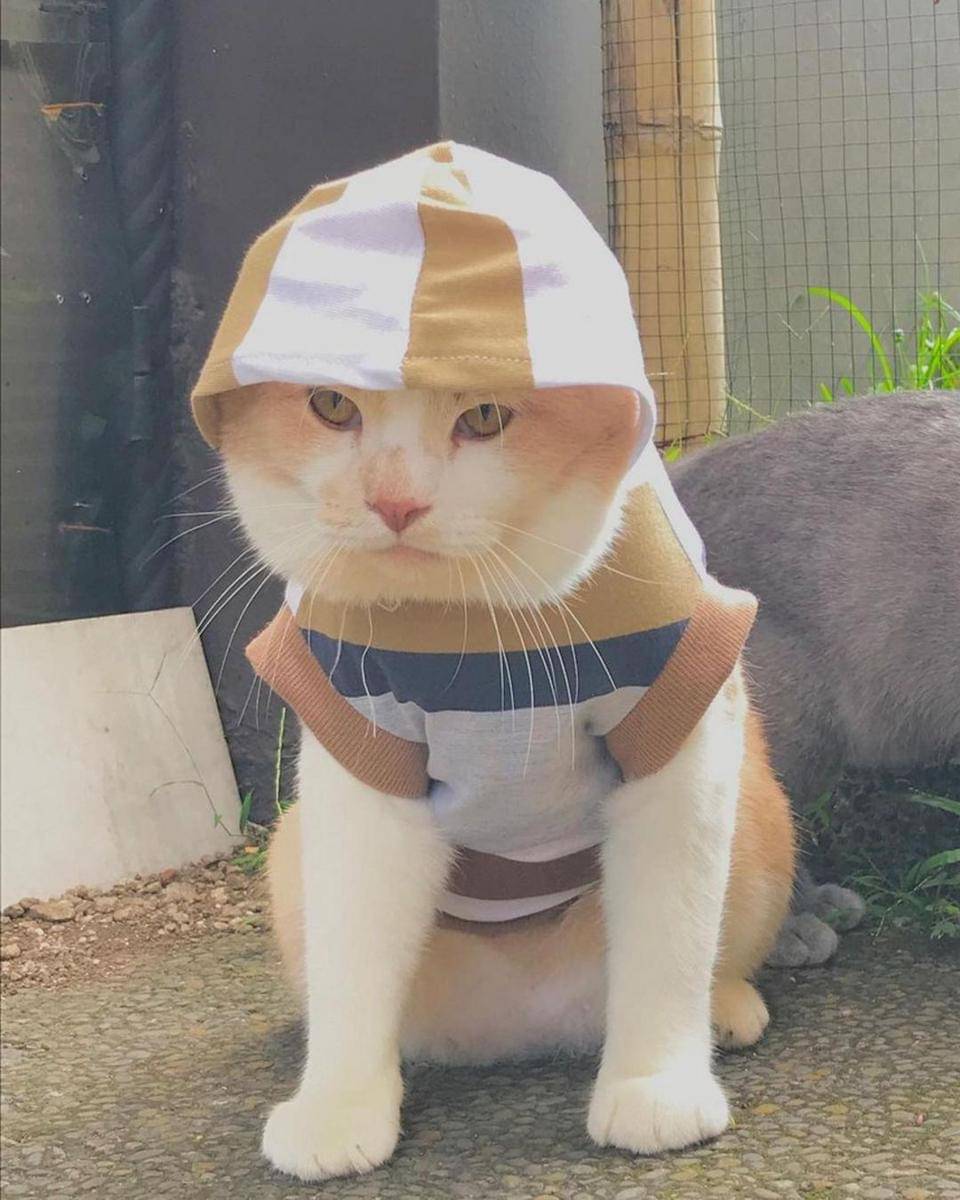 Instagram.com/lxx_pororo