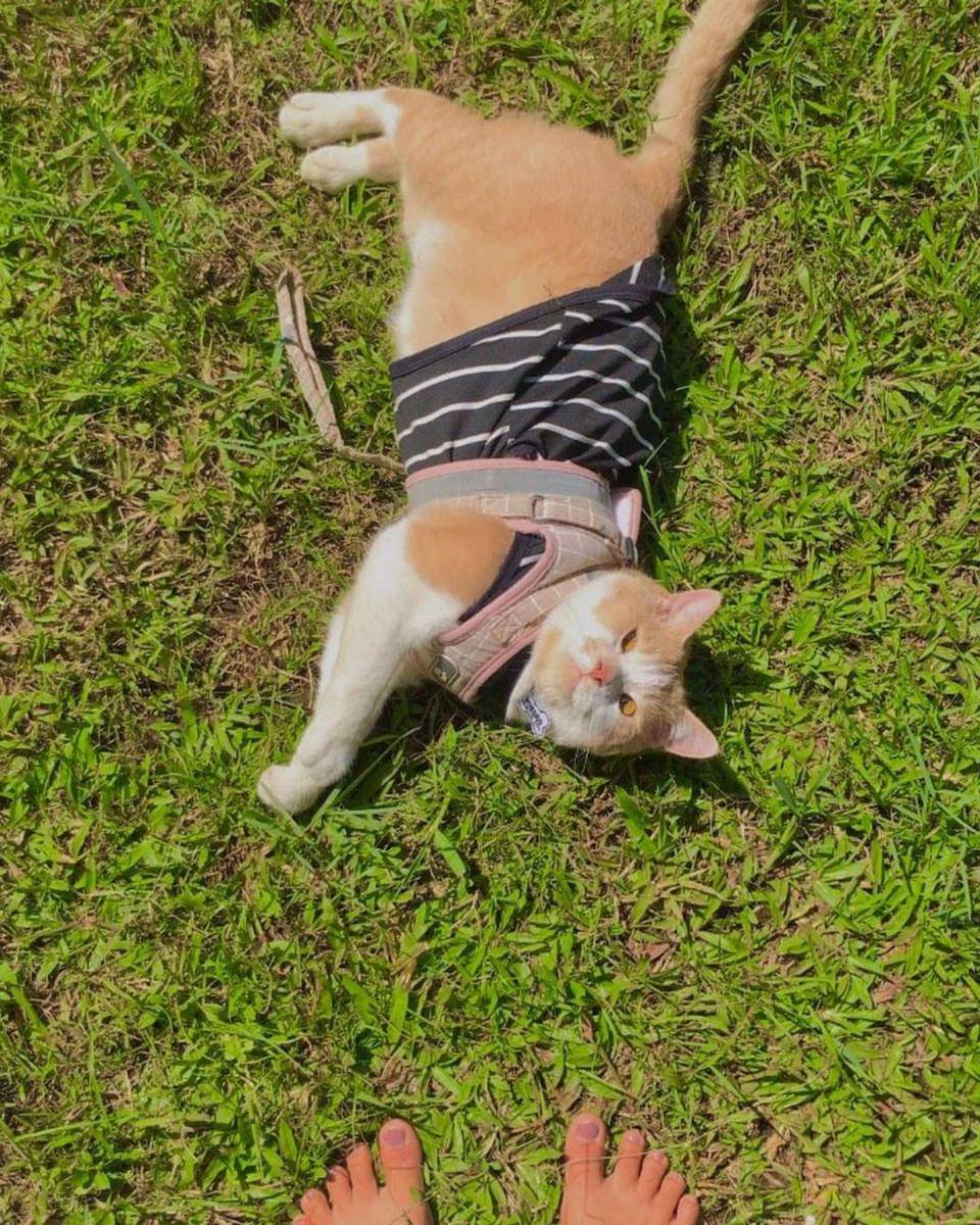 Instagram.com/lxx_pororo