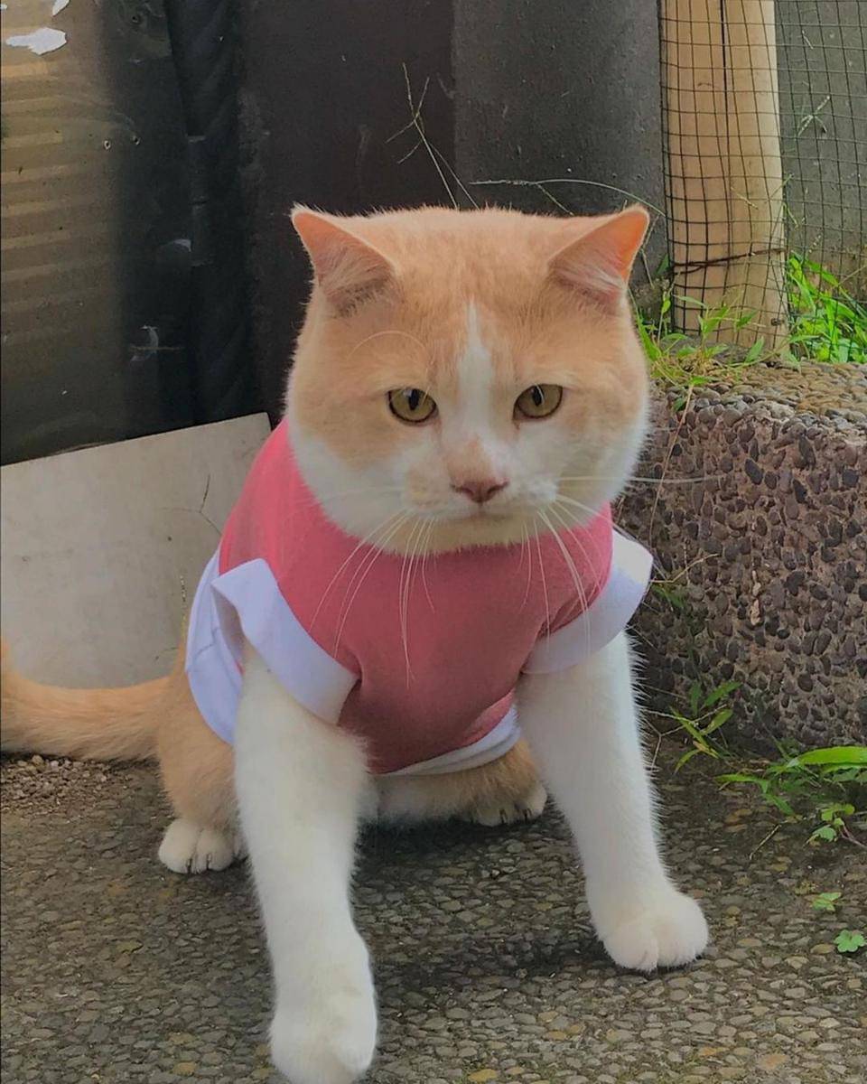 Instagram.com/lxx_pororo