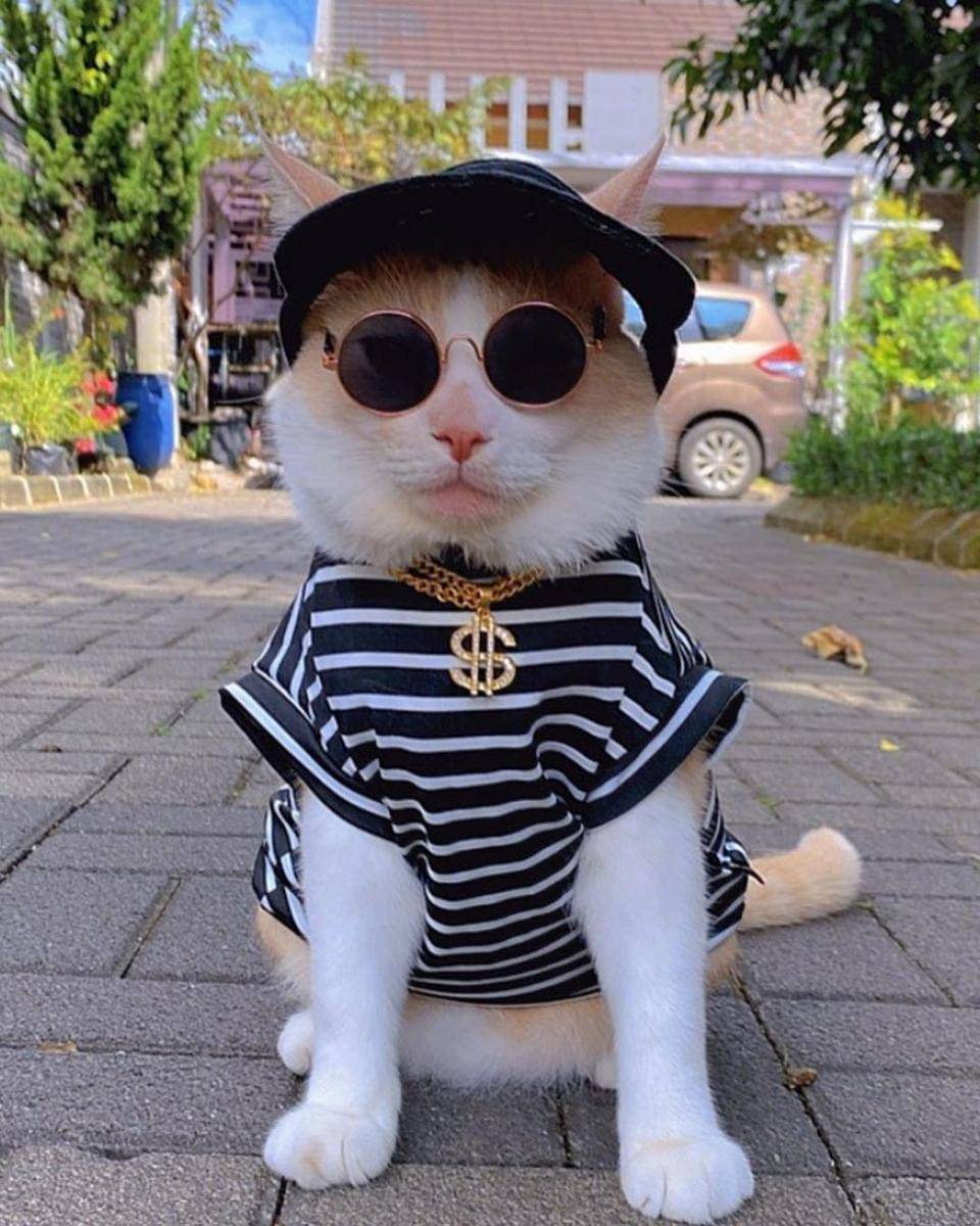 Instagram.com/lxx_pororo