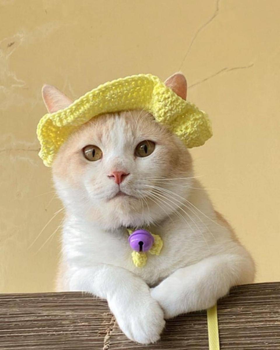 Instagram.com/lxx_pororo