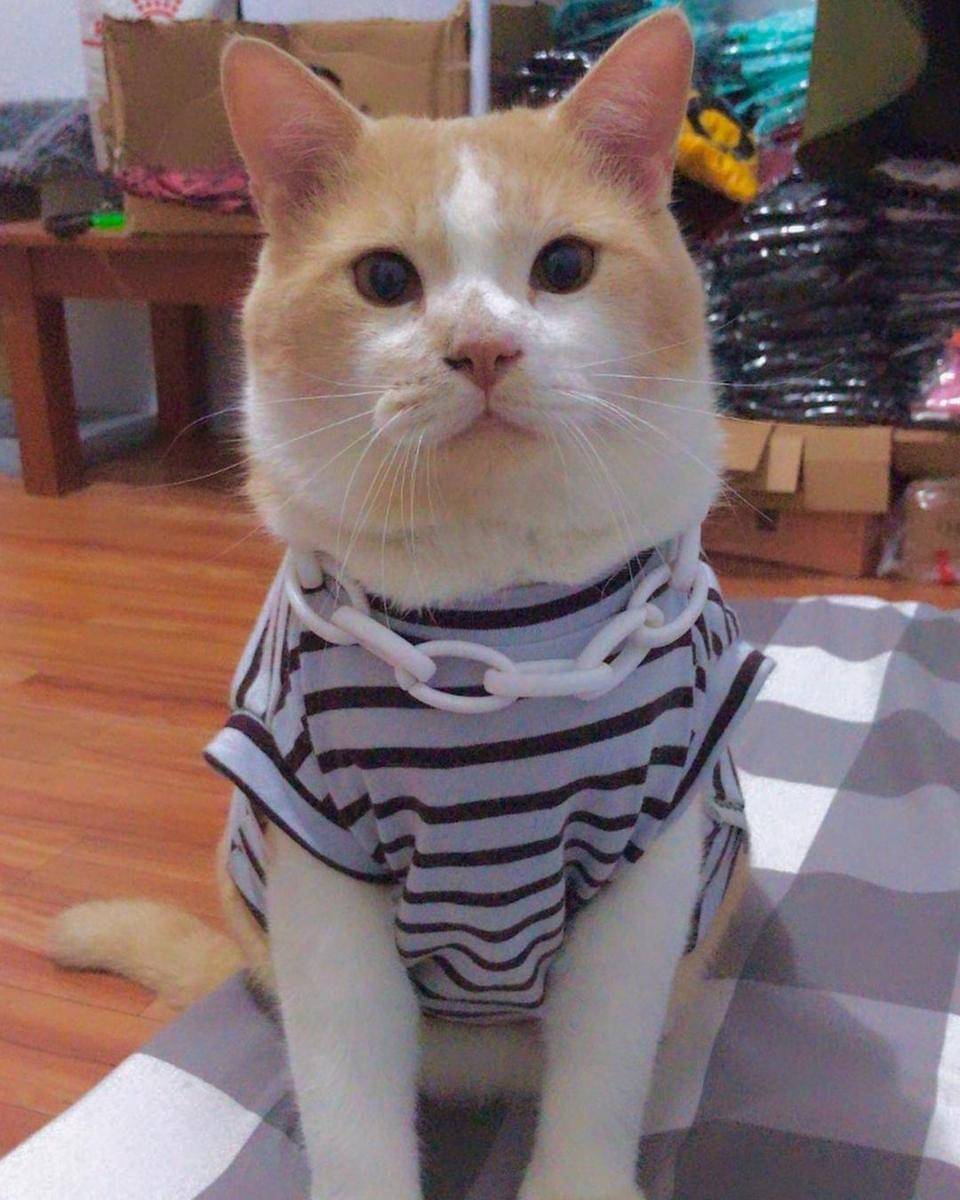 Instagram.com/lxx_pororo