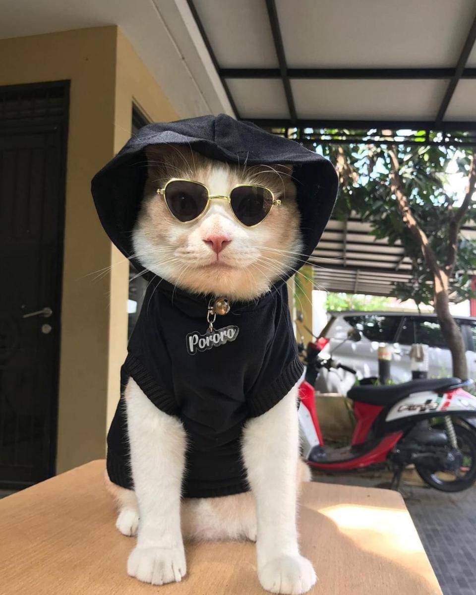 Instagram.com/lxx_pororo