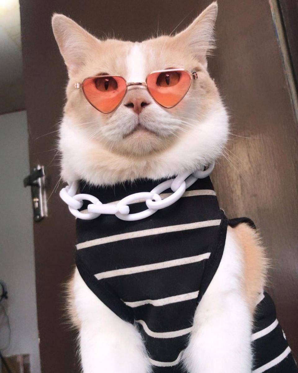 Instagram.com/lxx_pororo