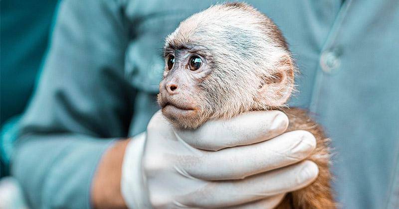 Pexels/Cleyder Duque