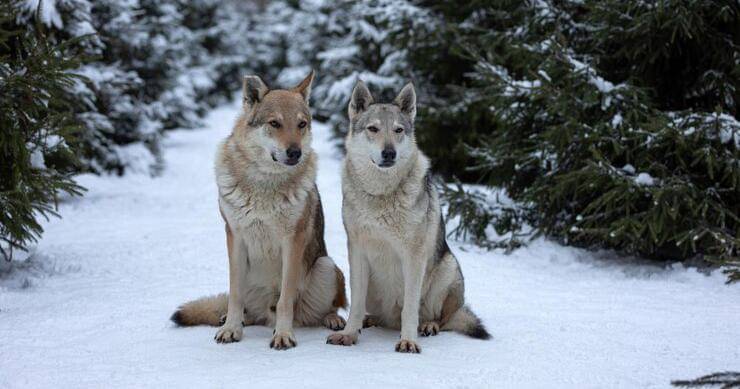 Freepik/Perfilova Anna