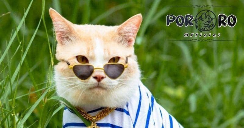 Instagram.com/Lxx_pororo