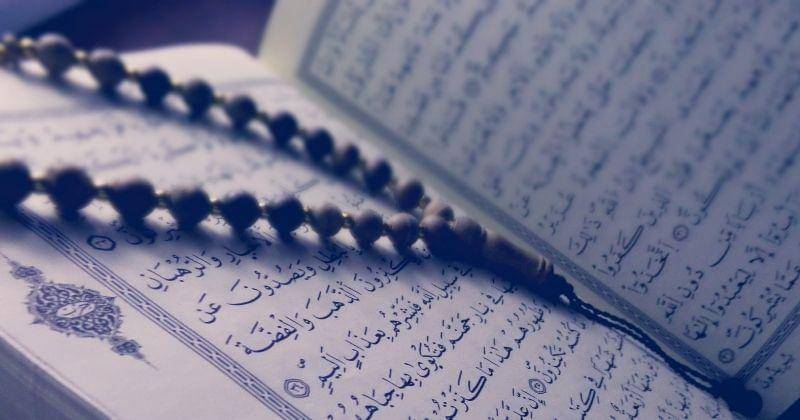 Pexels/Tayebmezahdia