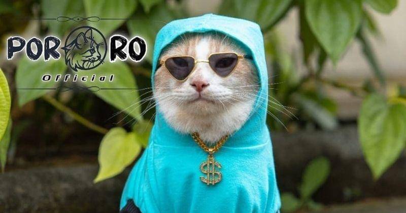 Instagram.com/Lxx_pororo