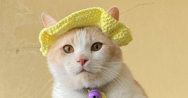 Instagram.com/Lxx_pororo