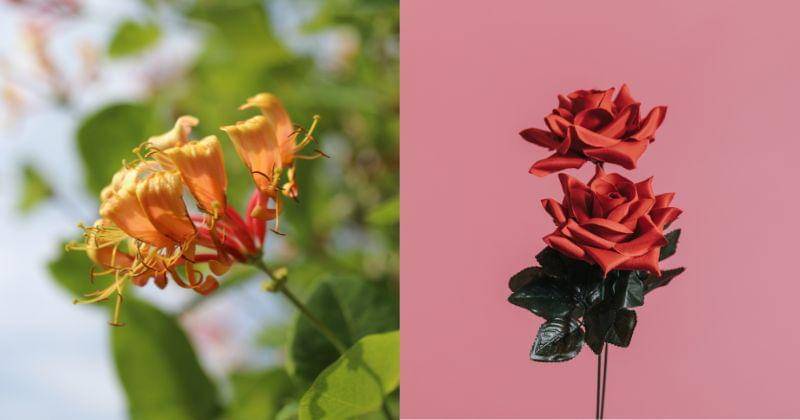 Freepik.com/rawpixel.com & wirestock