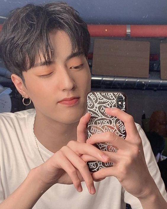 Twitter.com/treasuremembers