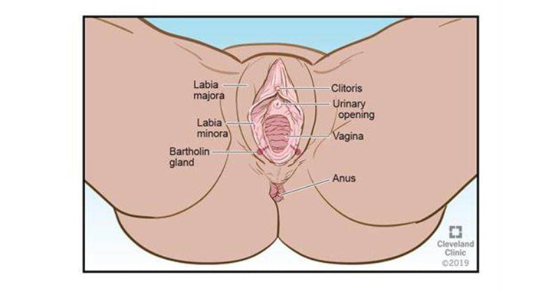 my.clevelandclinic.org