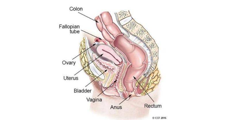 my.clevelandclinic.org