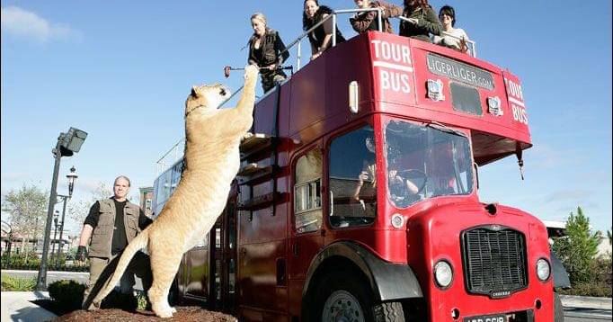 Pinterest.com/terrylaucher