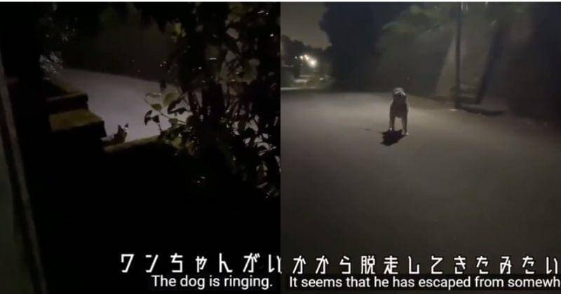 Twitter.com/Rangga19105887