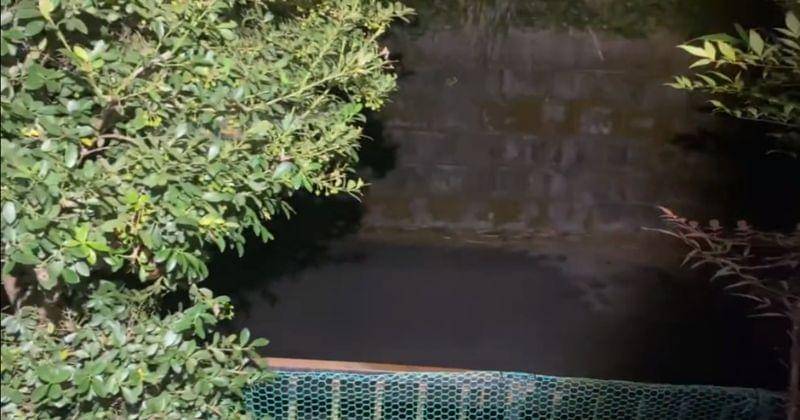 Twitter.com/Rangga19105887