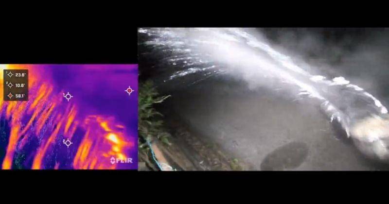 Twitter.com/Rangga19105887