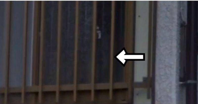 Twitter.com/Rangga19105887