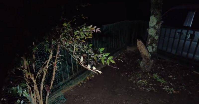 Twitter.com/Rangga19105887