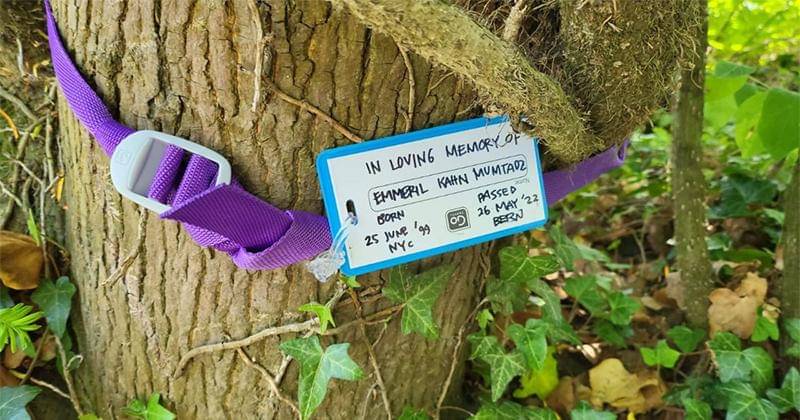 Dok. Humas Pemprov Jabar 