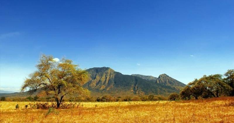 balurannationalpark.co.id