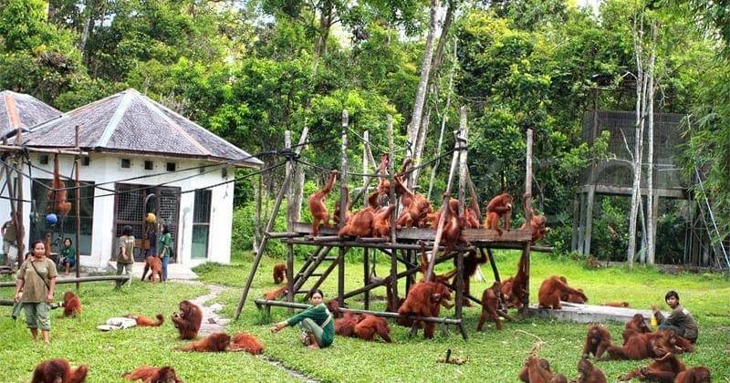 jelasinformation.blogspot.com