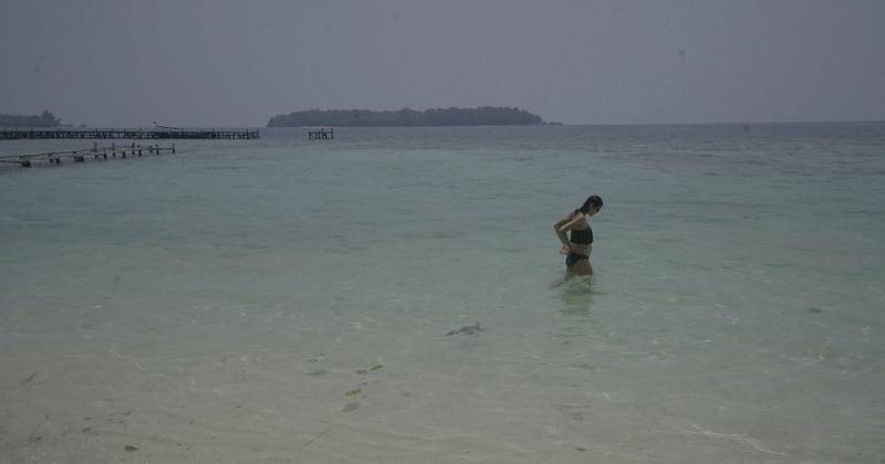 Instagram.com/Dominiquediyose