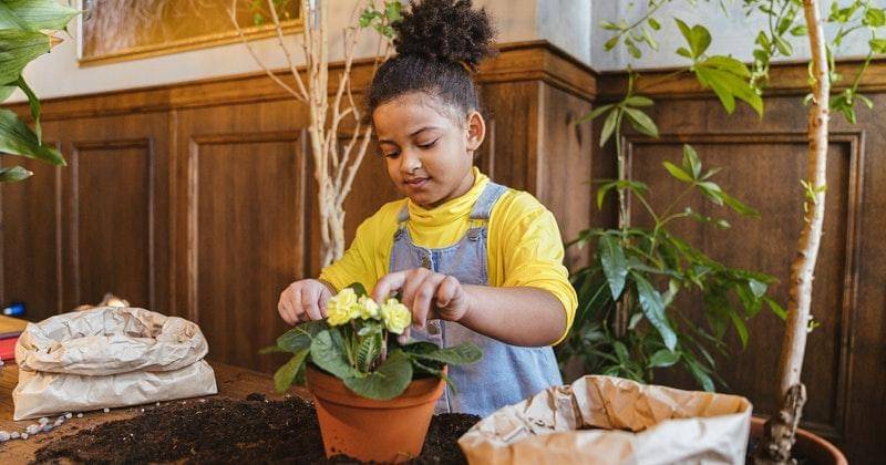 Pexels.com/antonishkraba