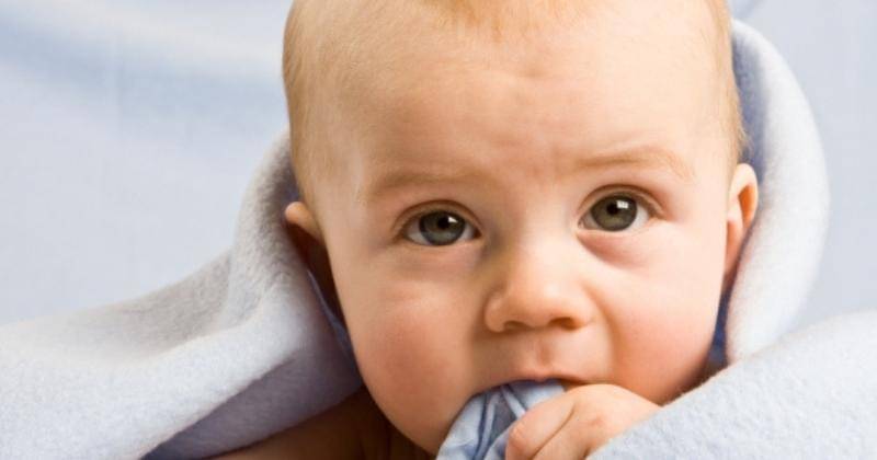 Bayi suka menggigit selimut
 - Children Terapy Corner