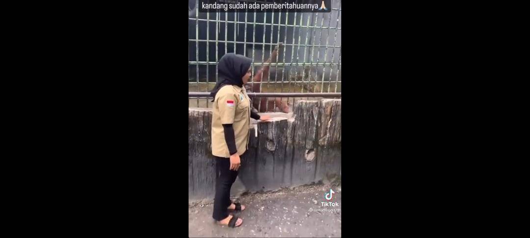 Terjadi di Kebun Binatang Kasam Kulim, Riau - TikTok.com