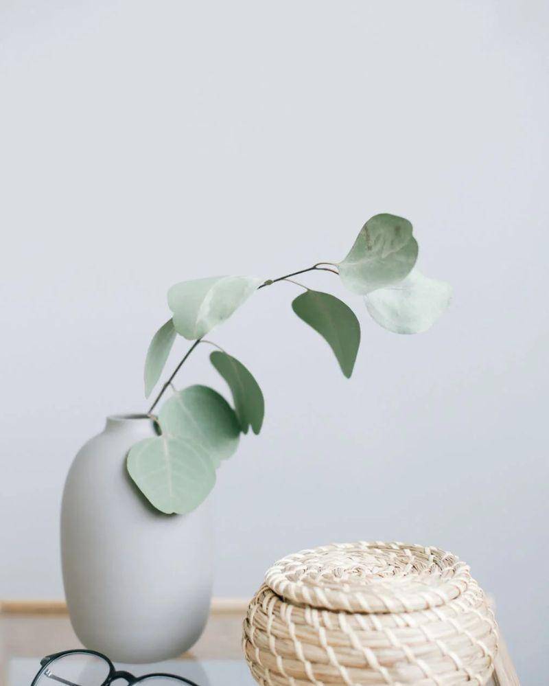Pexels/Ann poan