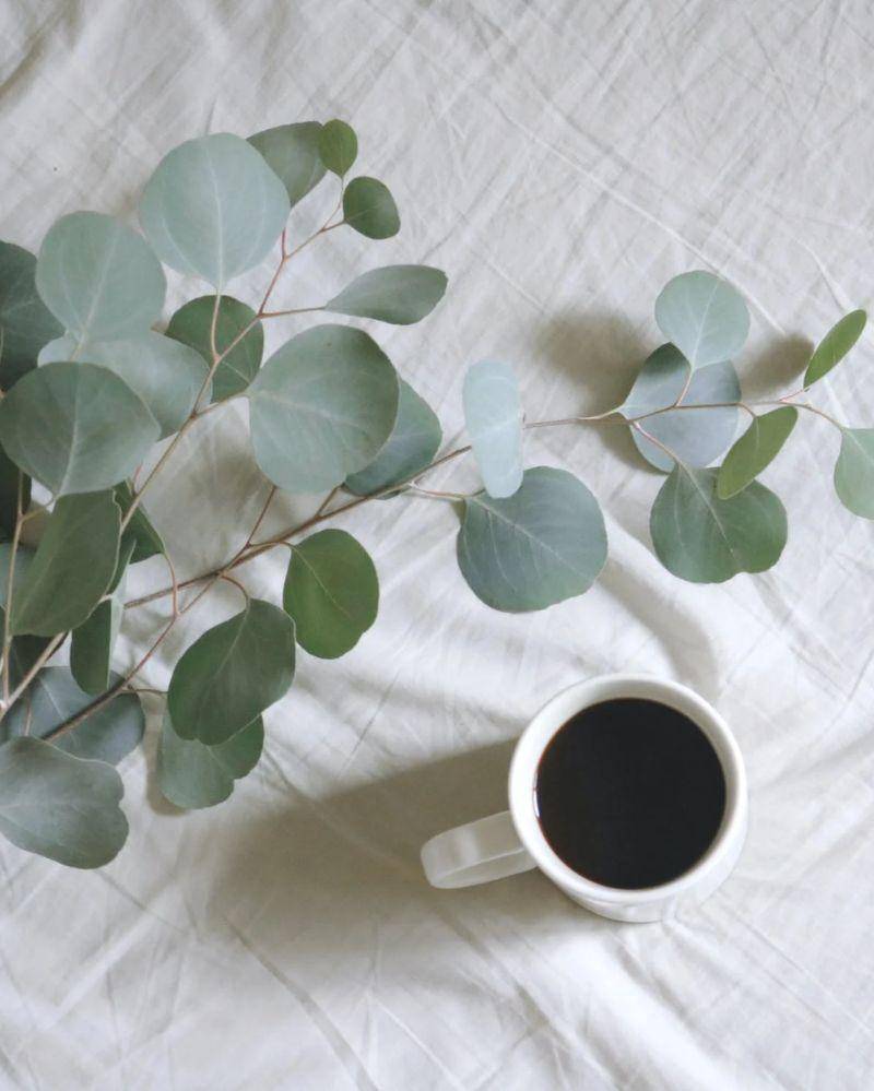 Pexels/Madison Inouye