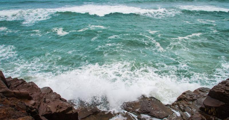 Pexels/Luis Felipe Roedel