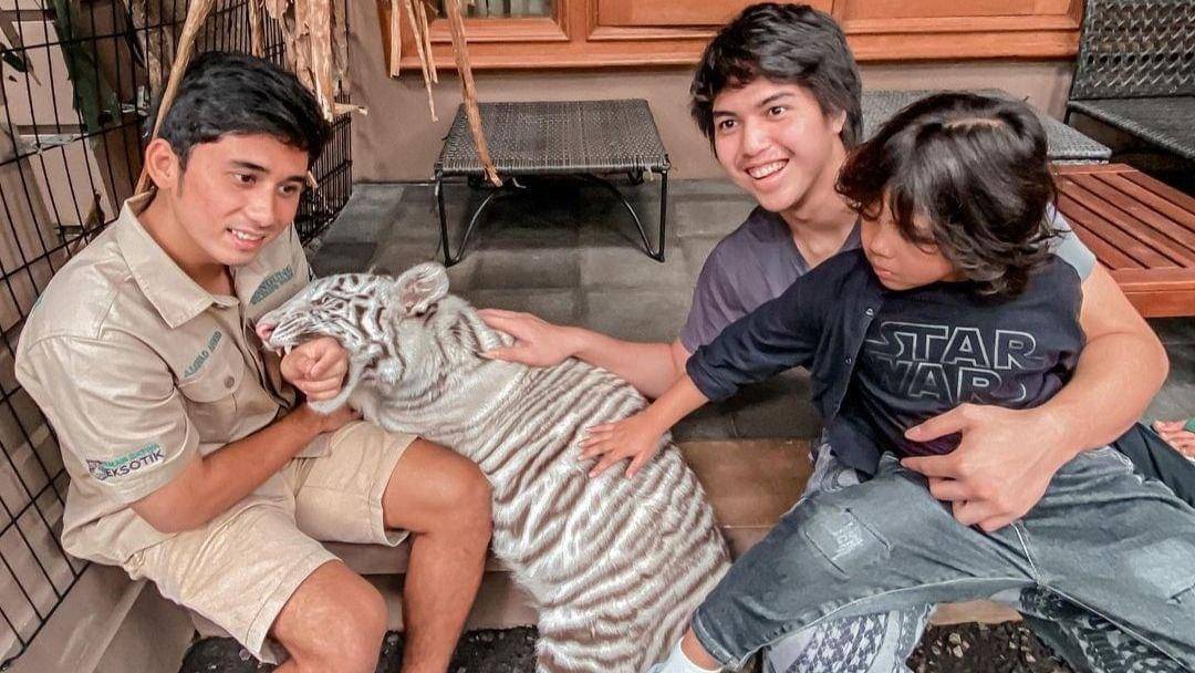 Instagram.com/elelrumi