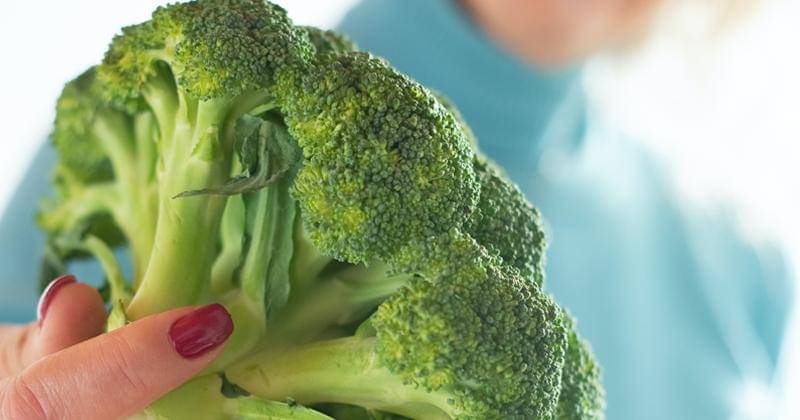 Pexels/Kampus Production