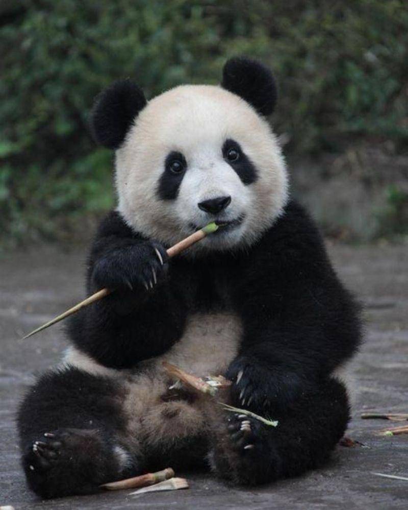 Pinterest/ZigZag On Earth Travel Blog