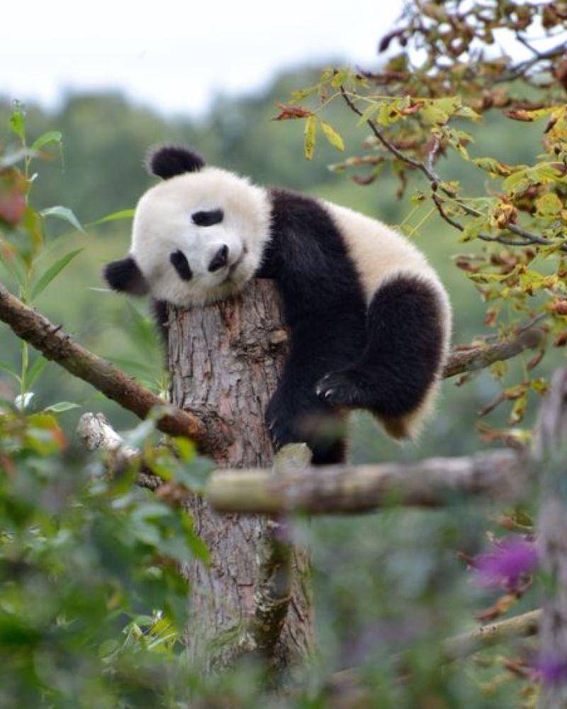 Pinterest/Tamás Polgárfi