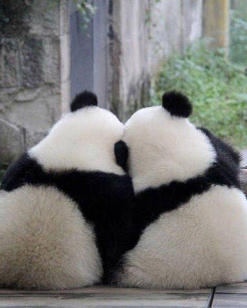 Pinterest/getvintageshop