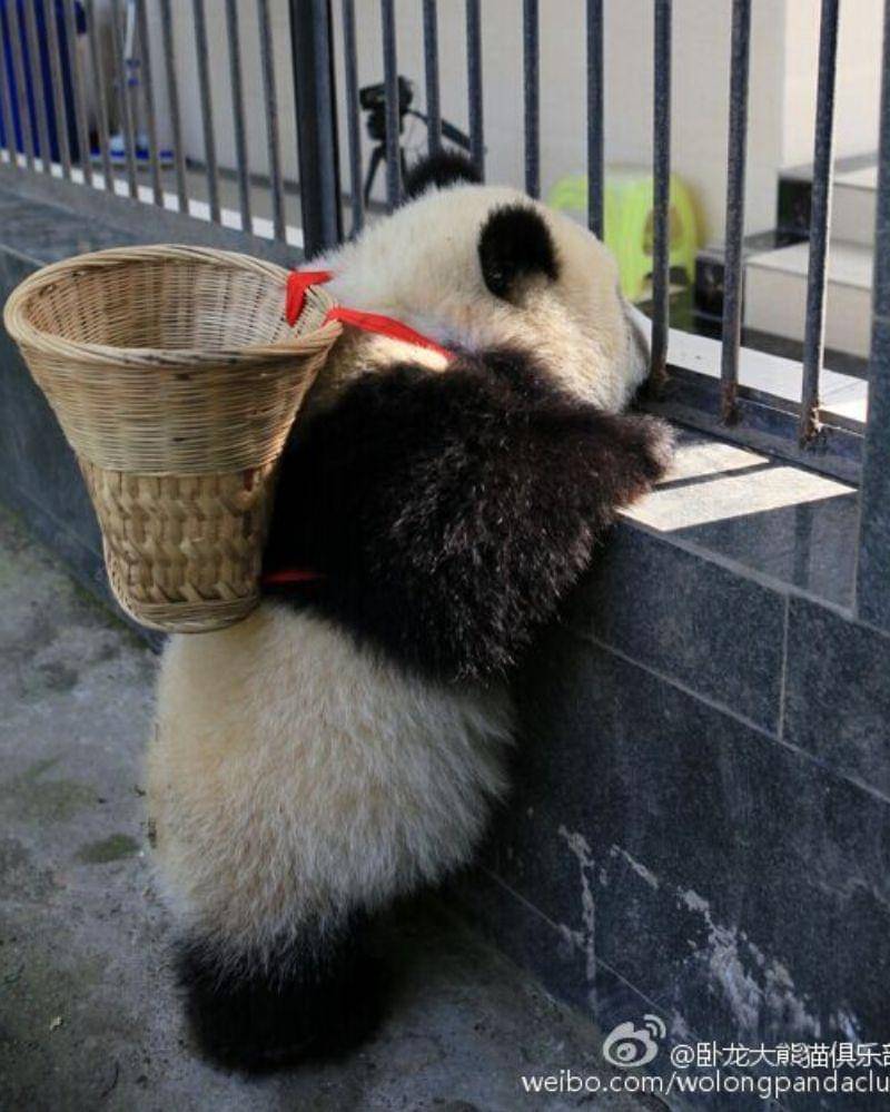 Pinterest/XingHuiHaoHao