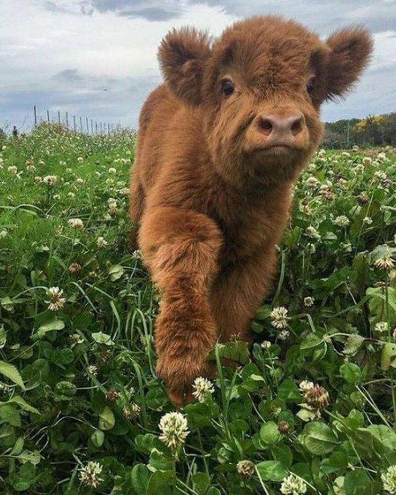 Pinterest/aidadzambasova