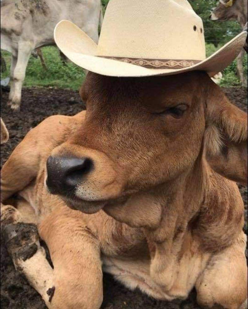 Pinterest/Shaneely Martinez