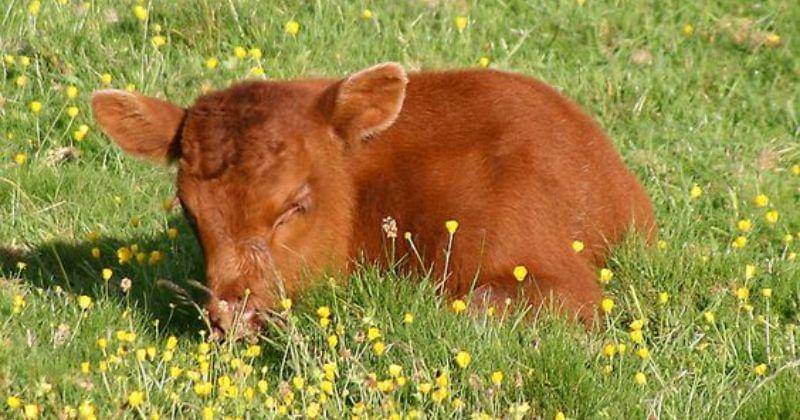 Pinterest/MarilynJane