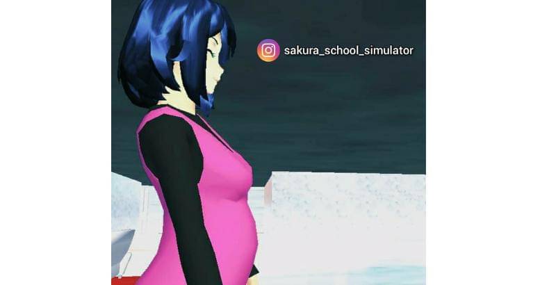 Instagram.com/Sakuraschoolsimulator
