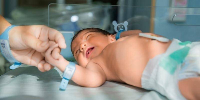 Freepik/KamranAydinov