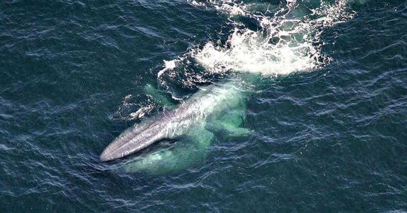 greenglobaltravel.com