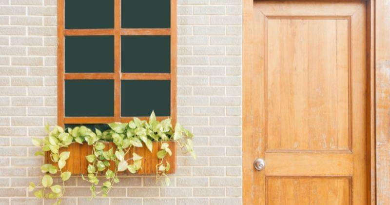 pexels/Tirachard Kumtanom