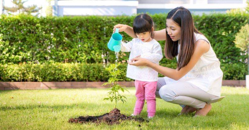 Shutterstock/Travelpixs