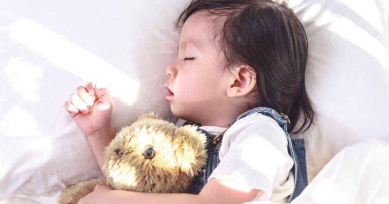 Shutterstock/DONOT6_STUDIO